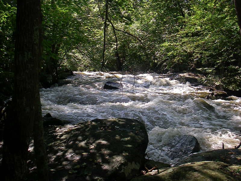 Trip report photo