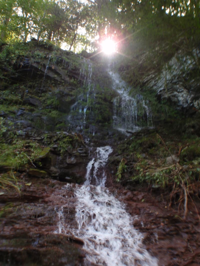 Trip report photo