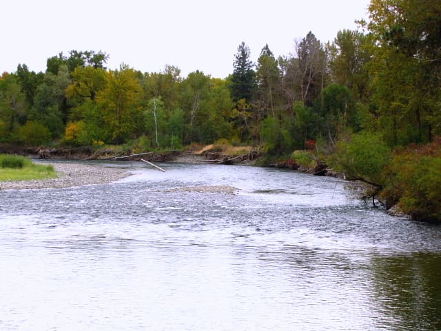 Fall Trip