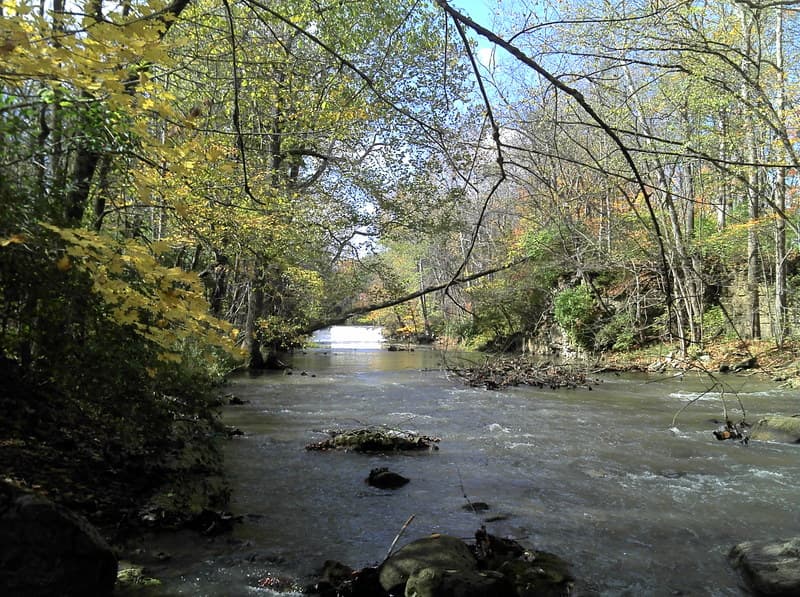The falls