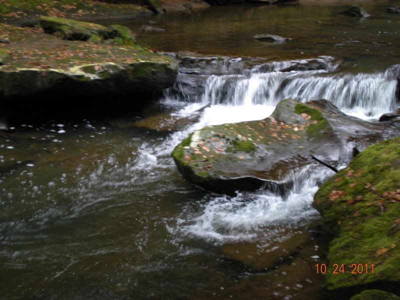 Trip report photo