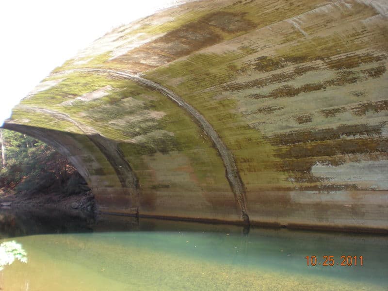 Trip report photo