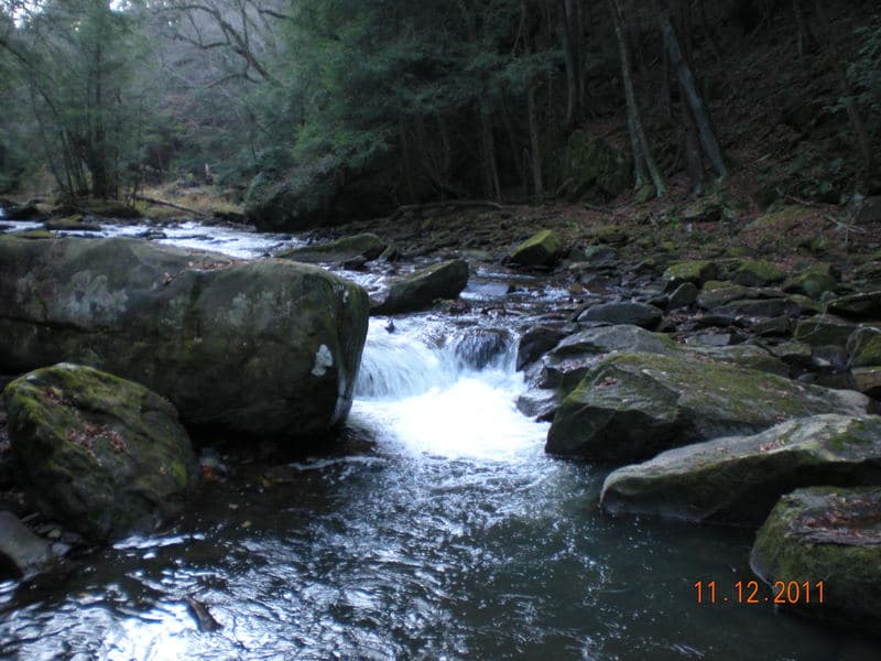 Trip report photo