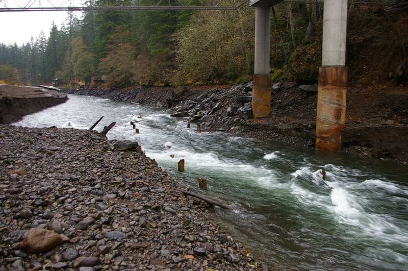 Northwestern Park - Looking Upstream at the Bridge Shortly After Dam Removal