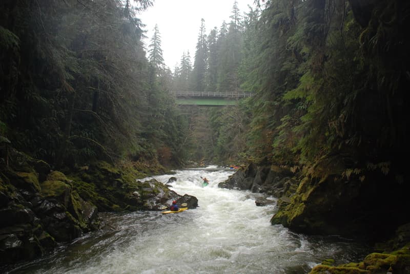 Thanksgiving Adventures on Matheny Creek