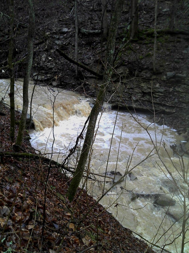 Nature Center Falls