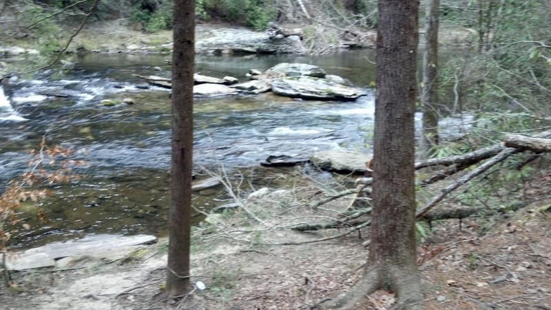 Trip report photo