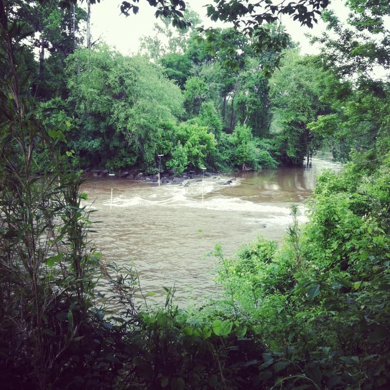 Trip report photo