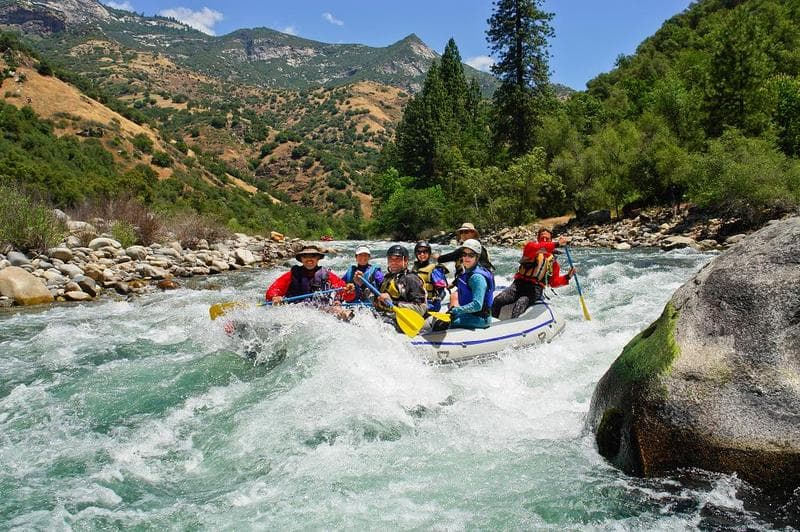 Wild Wolf Chute