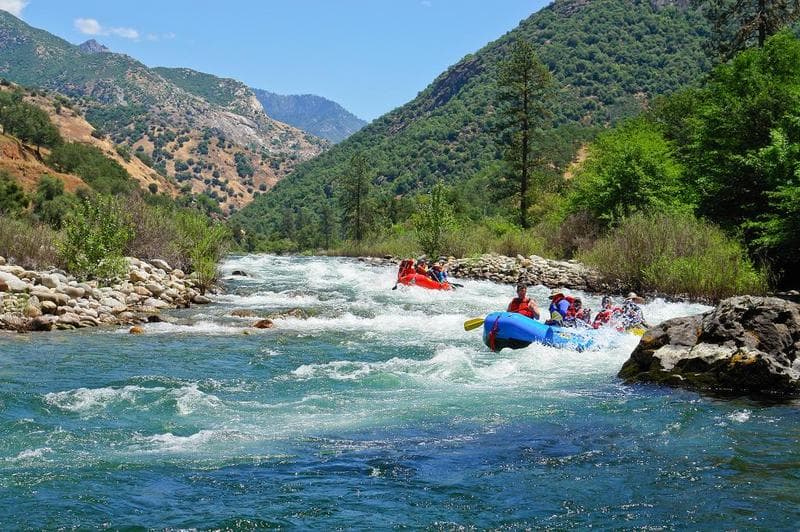 Hermits Rapid