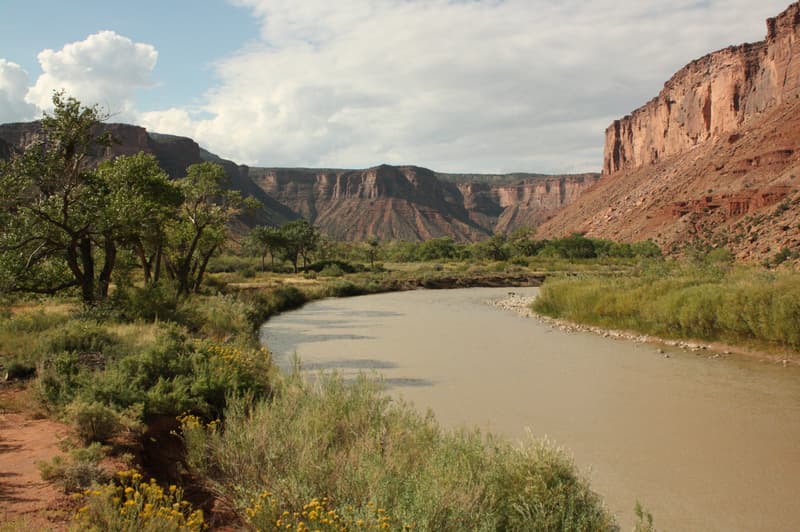 Dolores River