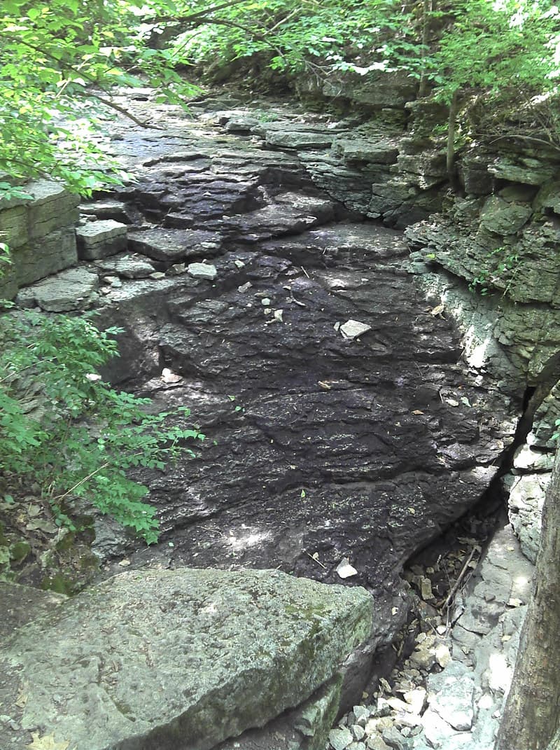 Trip report photo