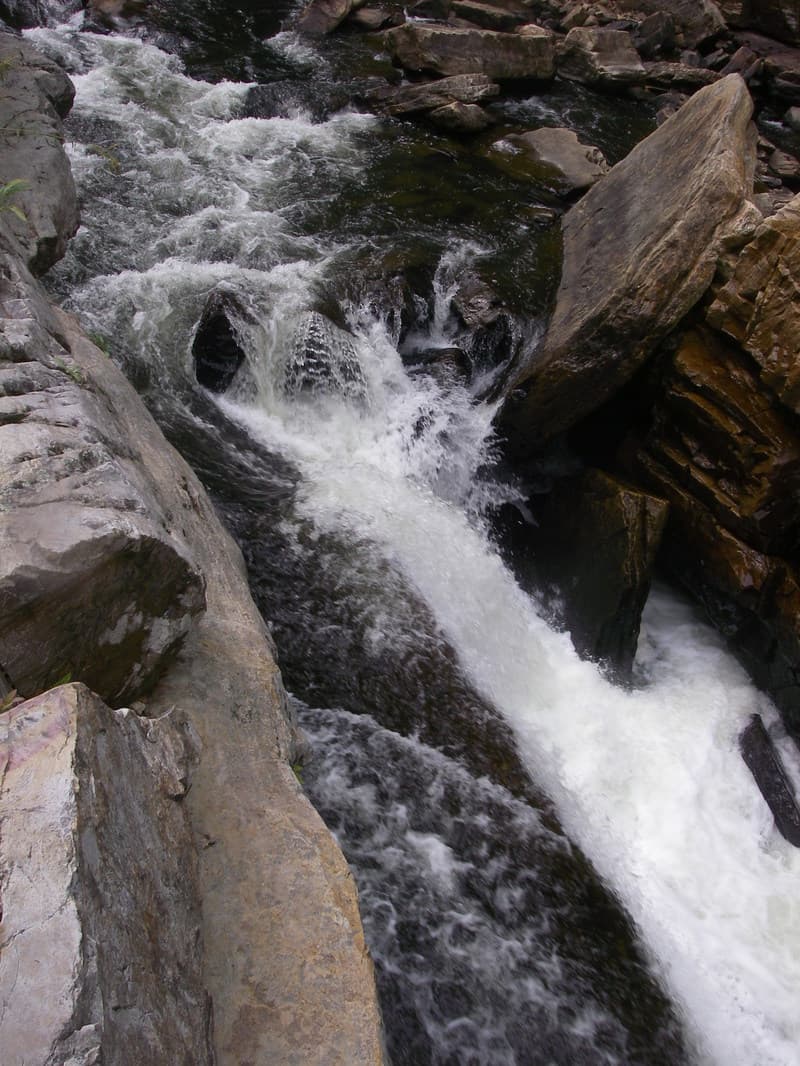 Trip report photo