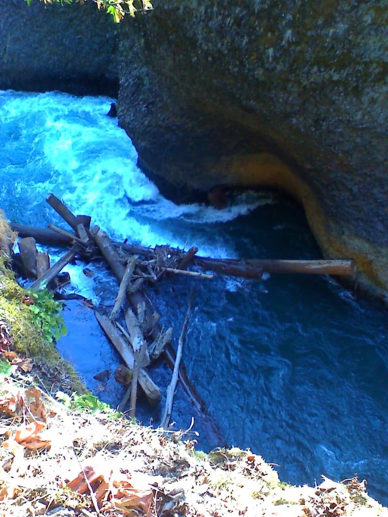 Log Jam in the Narrows Following Dam Removal