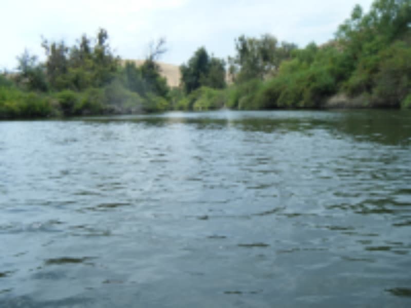 Trip report photo