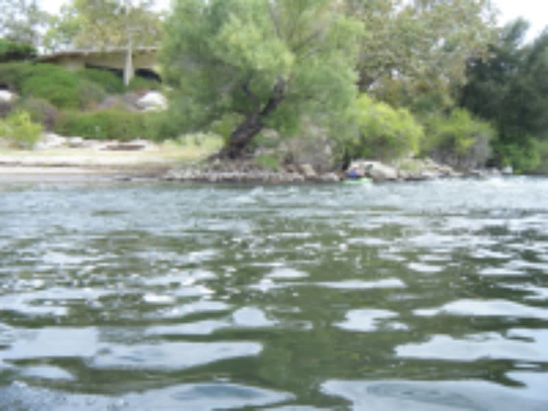 Trip report photo