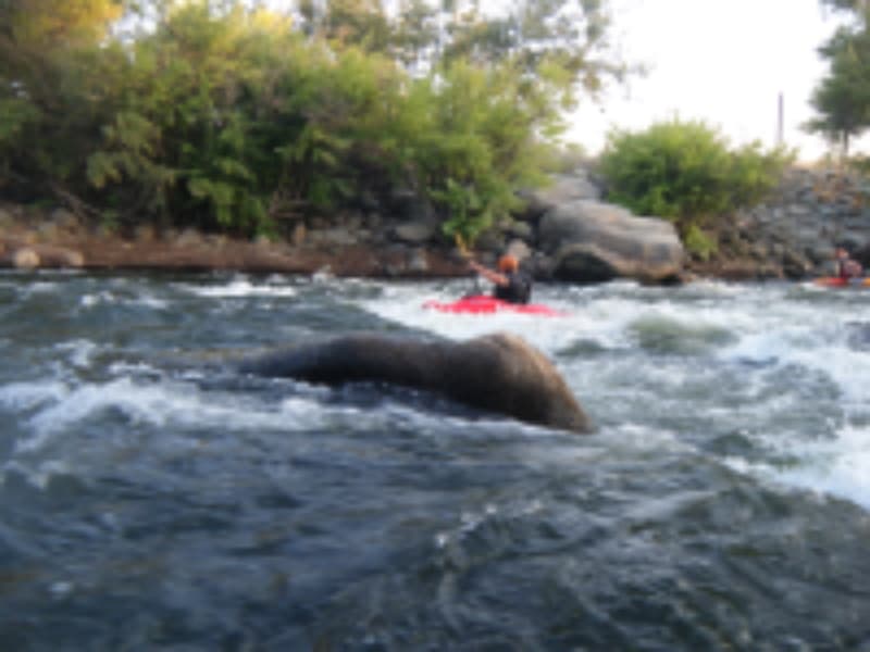 Trip report photo