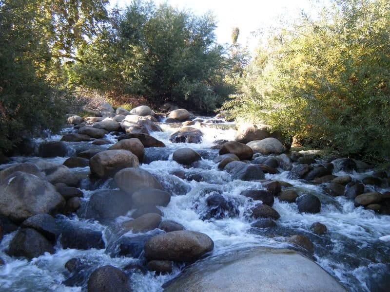 Trip report photo