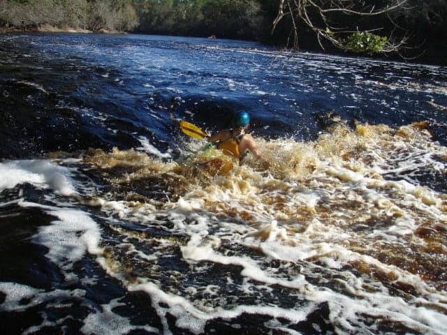 Trip report photo