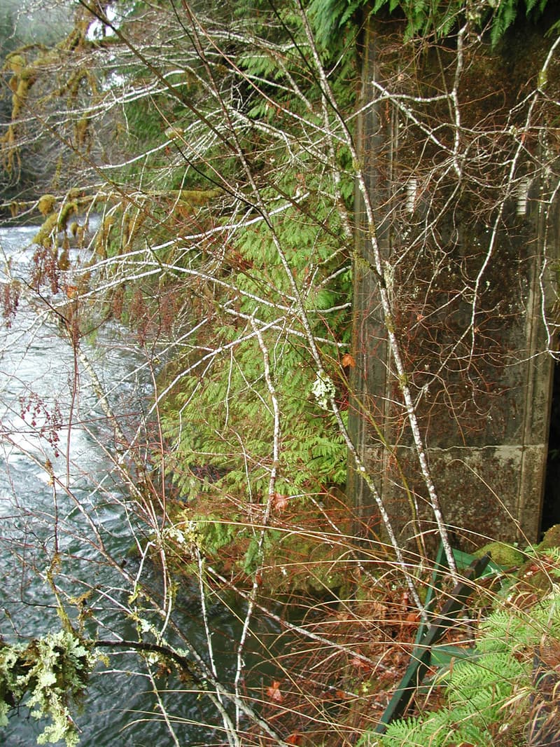 USGS Gage Station
