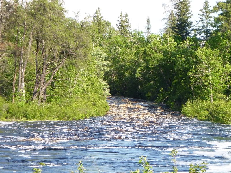 Trip report photo