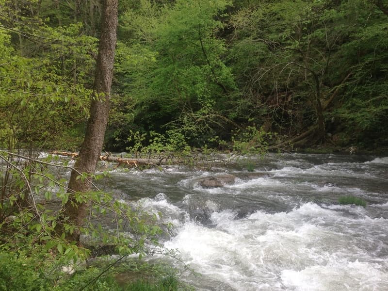 Trip report photo