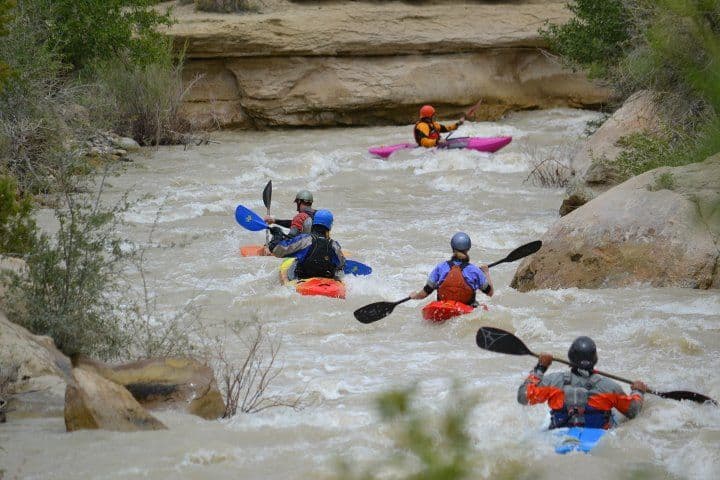 Trip report photo