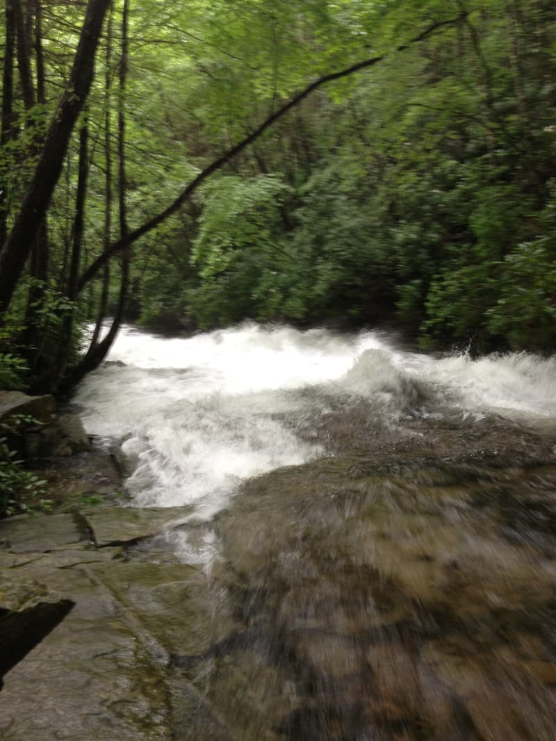 Trip report photo