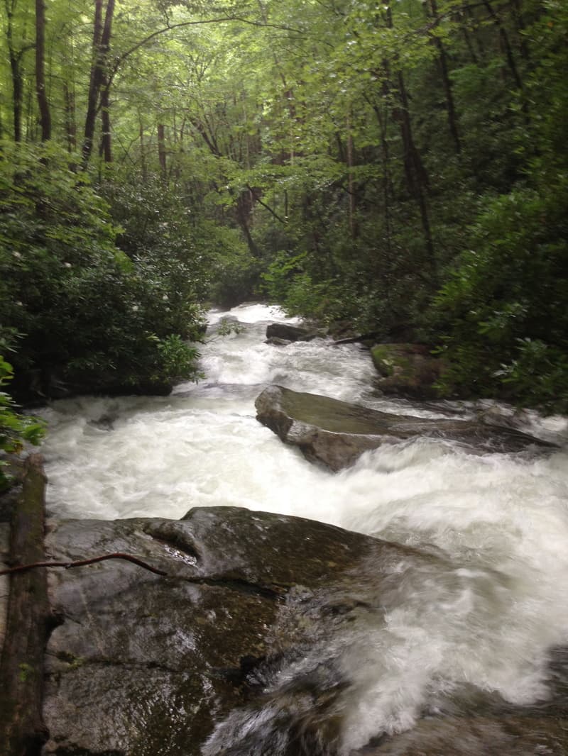 Trip report photo