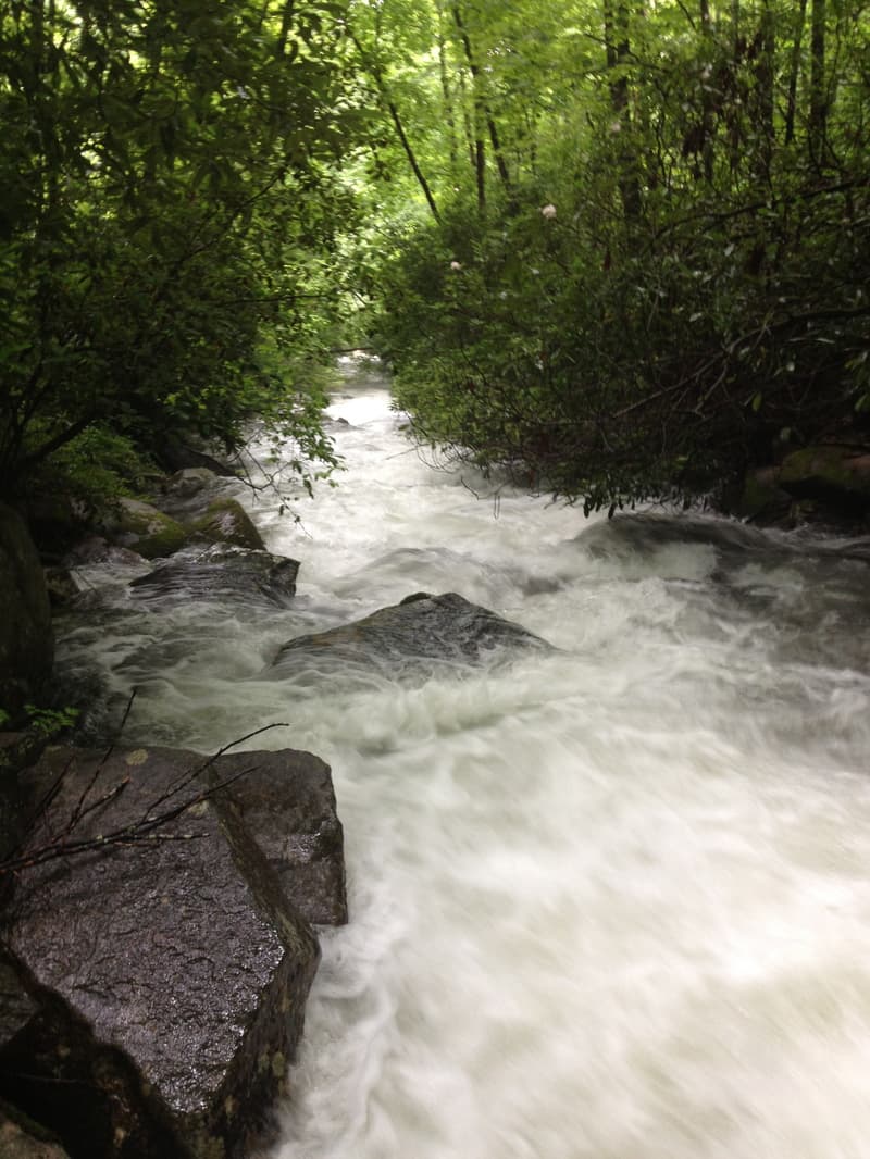 Trip report photo