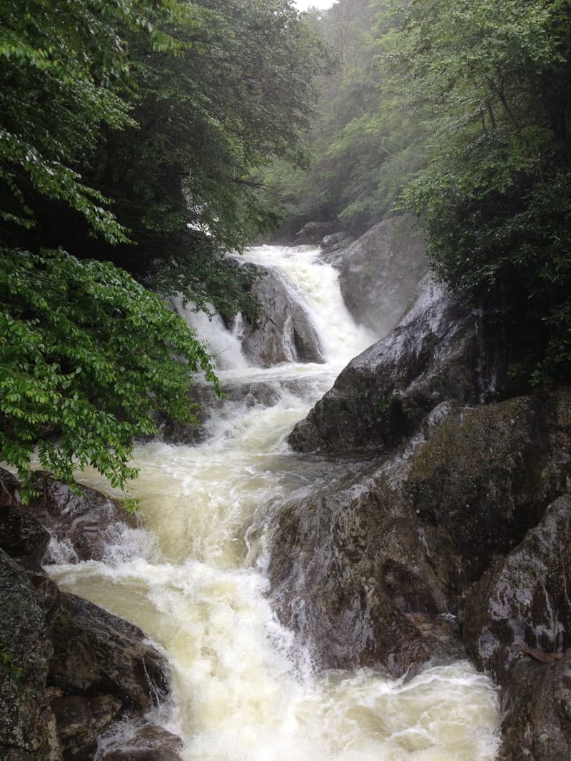 Trip report photo