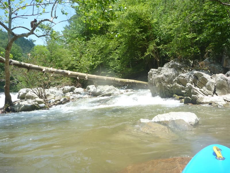 Trip report photo