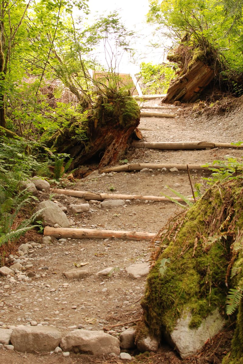Newly Completed Access at Cable Drop