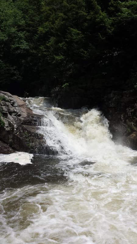 Trip report photo