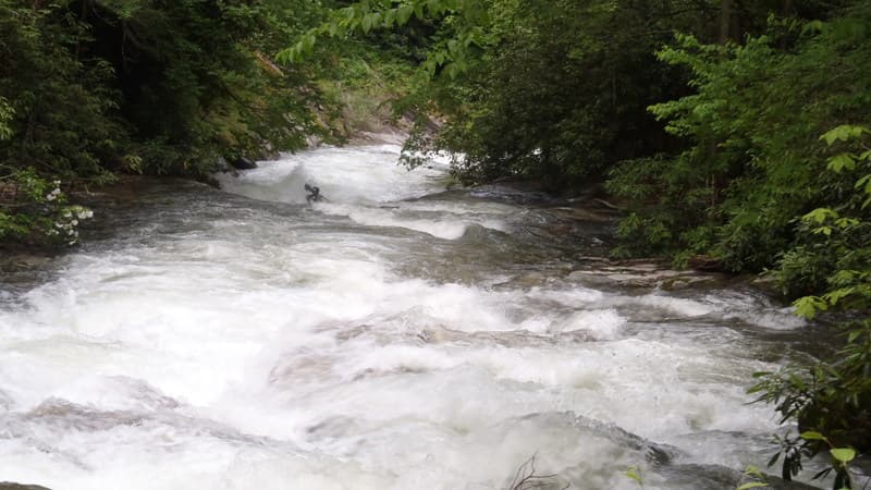Trip report photo