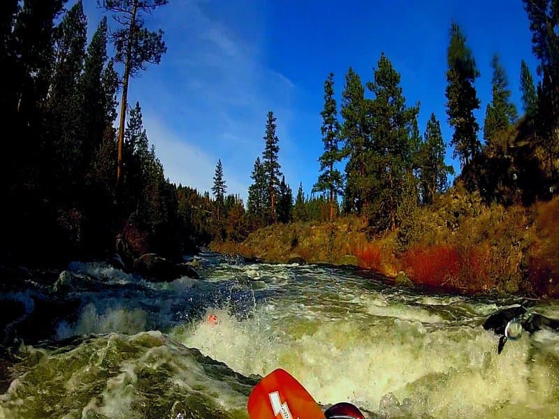 Trip report photo