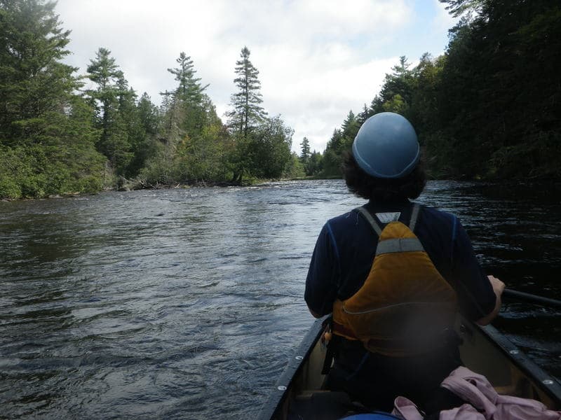 Trip report photo