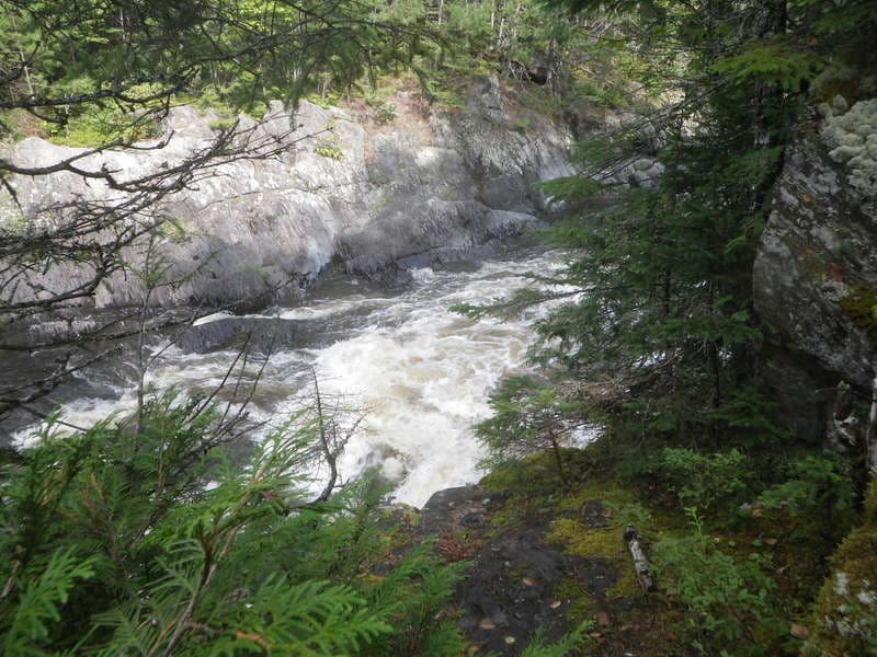 Trip report photo