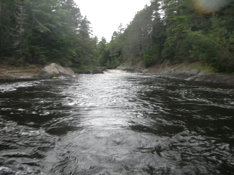 Trip report photo