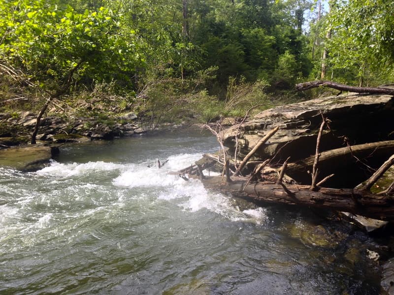 Trip report photo