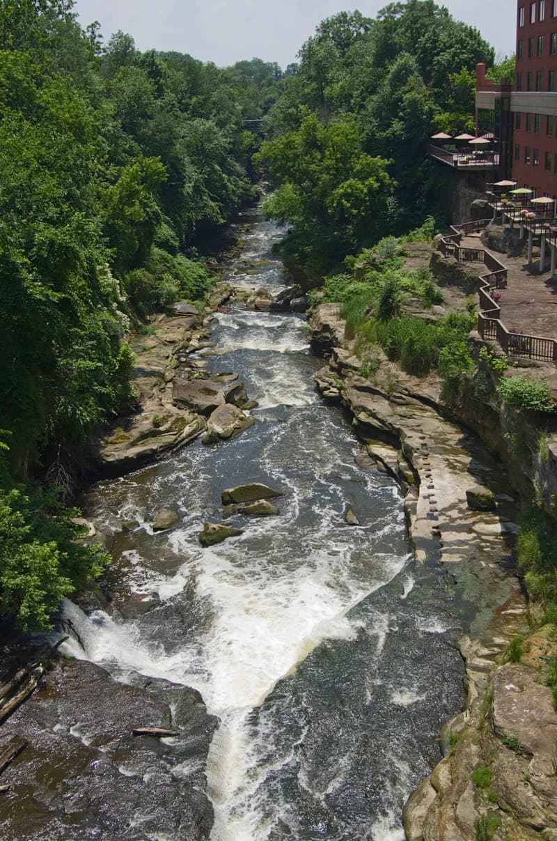 Trip report photo