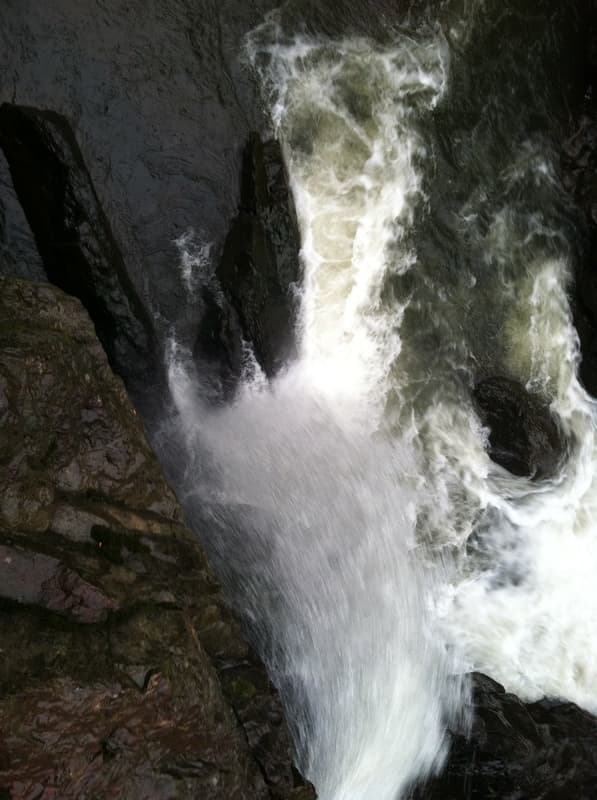 Trip report photo