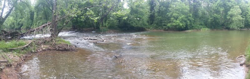 Trip report photo