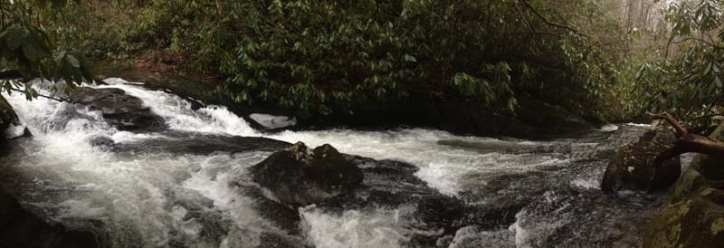Trip report photo