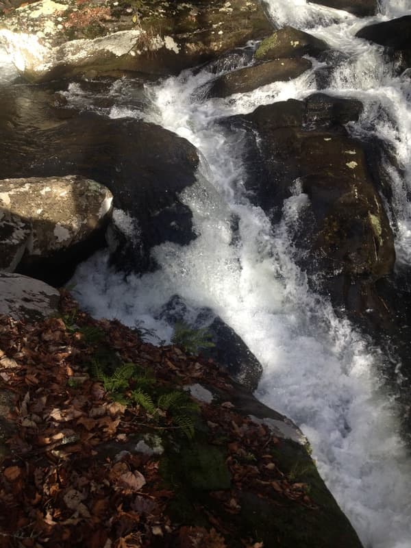 Trip report photo