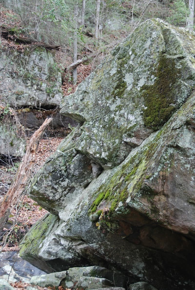 Trip report photo