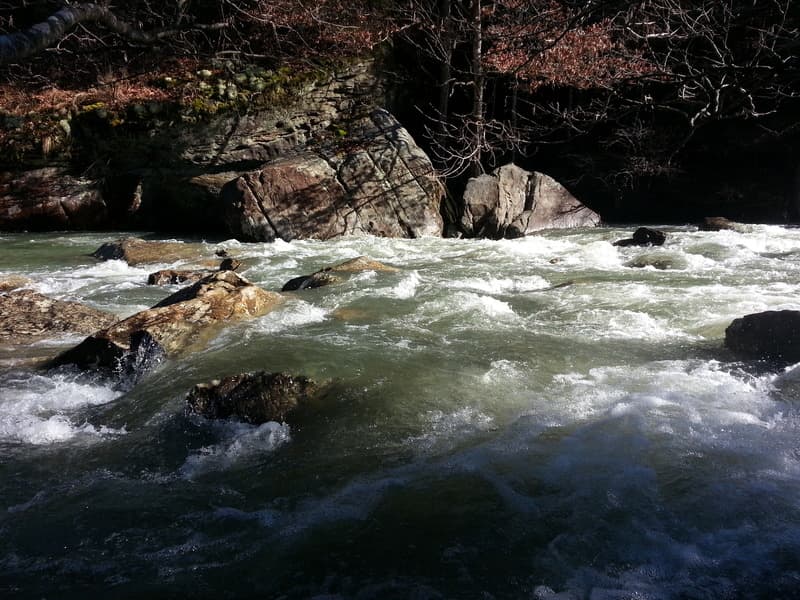 Trip report photo