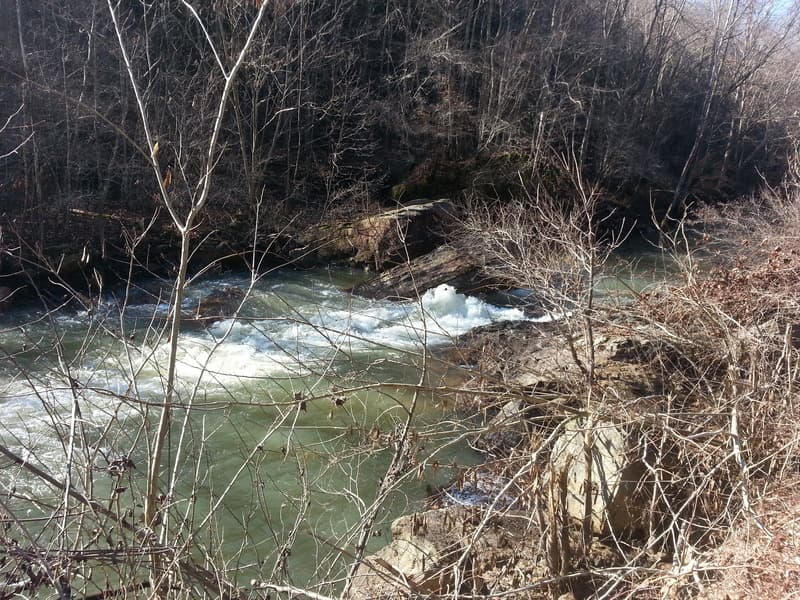 Trip report photo