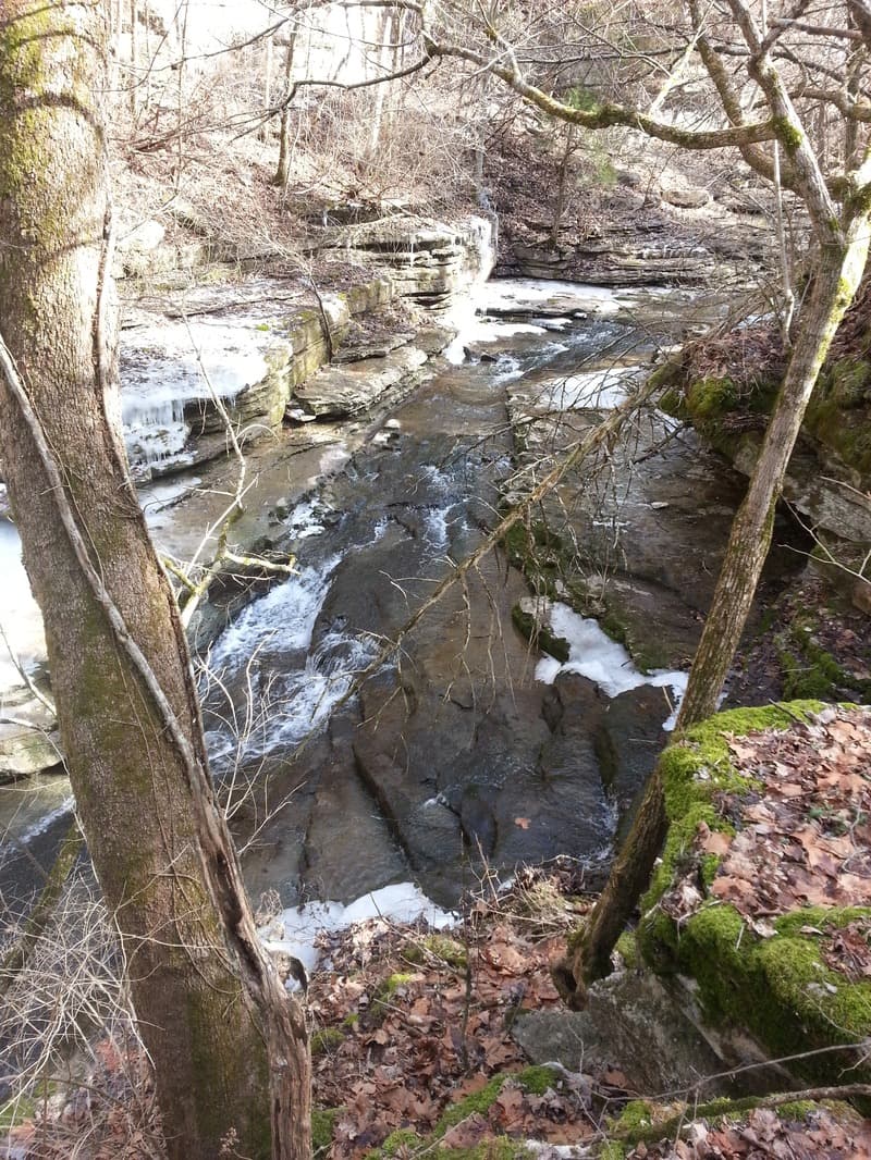 Trip report photo