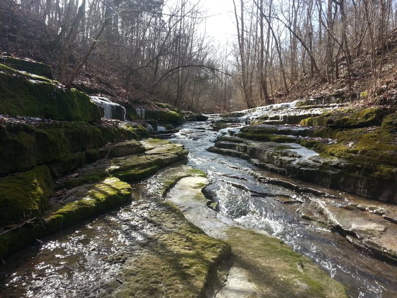 Trip report photo